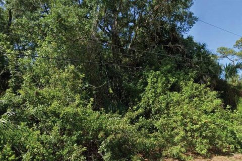 Land in North Port, Florida № 2162868