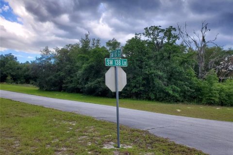 Land in Ocala, Florida № 2165002 - photo 2
