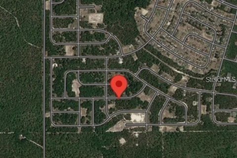Land in Ocala, Florida № 2165002 - photo 6