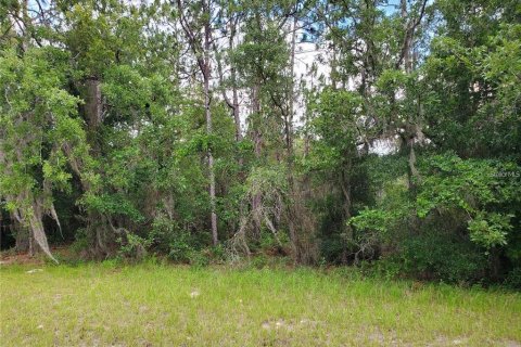 Land in Ocala, Florida № 2165002 - photo 3