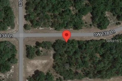 Land in Ocala, Florida № 2165002 - photo 5