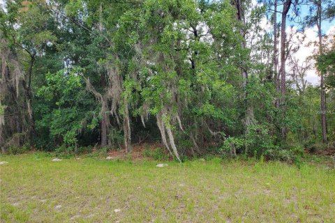 Land in Ocala, Florida № 2165002