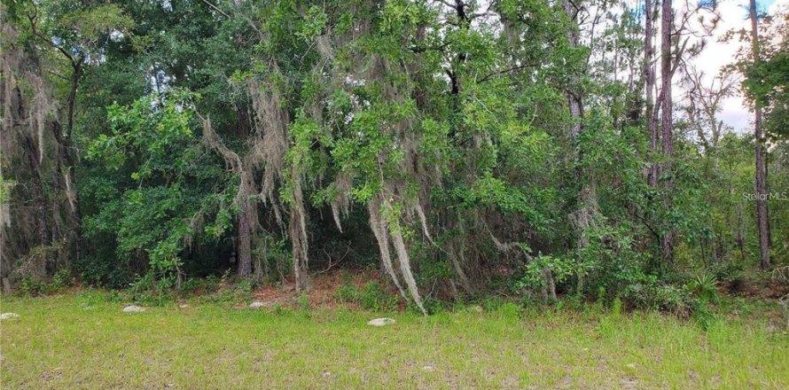 Land in Ocala, Florida № 2165002