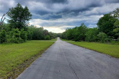 Land in Ocala, Florida № 2165002 - photo 4