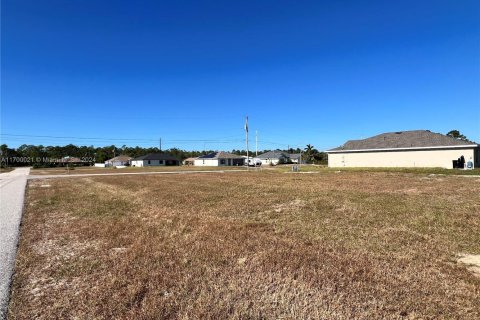 Terreno en venta en Cape Coral, Florida № 1454554 - foto 8