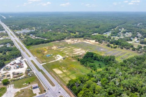 Terreno en venta en Hernando, Florida № 1777103 - foto 10