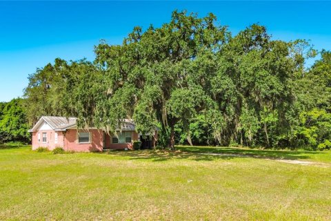 Commercial property in Leesburg, Florida 127.37 sq.m. № 2258273 - photo 15