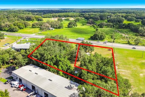 Commercial property in Leesburg, Florida 127.37 sq.m. № 2258273 - photo 2