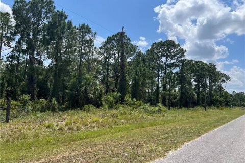 Land in Clewiston, Florida № 1182266 - photo 1