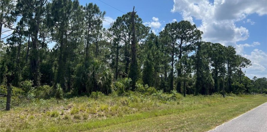 Land in Clewiston, Florida № 1182266