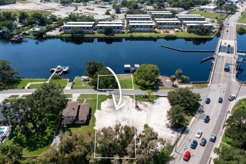 Land in Tampa, Florida № 1903392 - photo 4