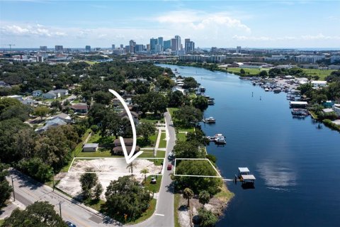 Land in Tampa, Florida № 1903392 - photo 3