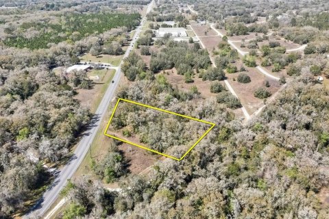Land in Holder, Florida № 1531888 - photo 3