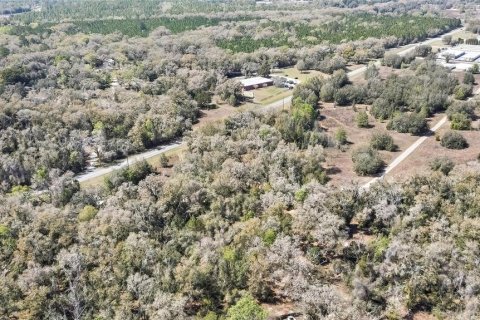 Land in Holder, Florida № 1531888 - photo 5