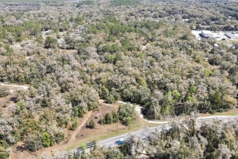 Land in Holder, Florida № 1531888 - photo 11
