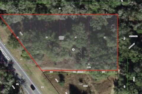 Land in Holder, Florida № 1531888 - photo 6