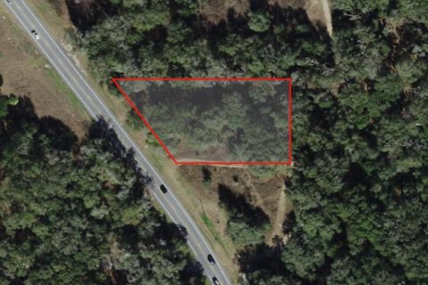 Land in Holder, Florida № 1531888 - photo 2