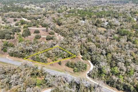 Land in Holder, Florida № 1531888 - photo 12