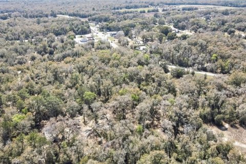 Land in Holder, Florida № 1531888 - photo 8