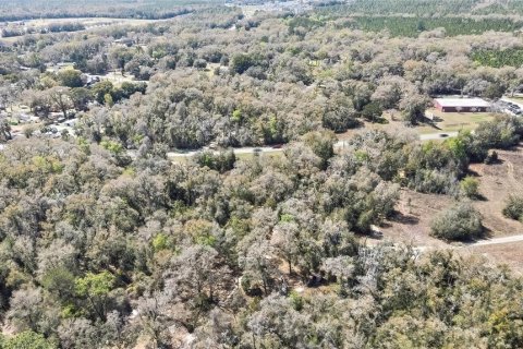 Land in Holder, Florida № 1531888 - photo 7