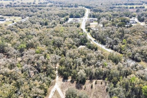 Land in Holder, Florida № 1531888 - photo 9