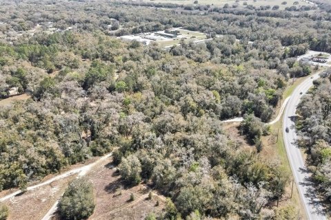 Land in Holder, Florida № 1531888 - photo 10