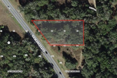 Land in Holder, Florida № 1531888 - photo 4