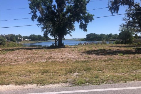 Land in Winter Haven, Florida № 1681960 - photo 6