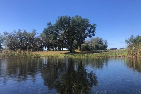 Land in Winter Haven, Florida № 1681960 - photo 10