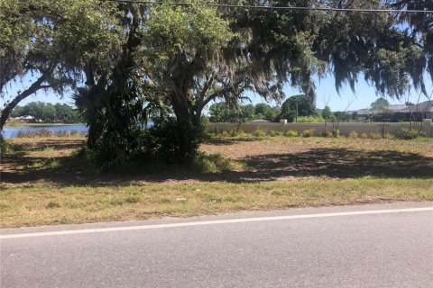 Land in Winter Haven, Florida № 1681960 - photo 5