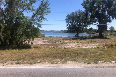 Land in Winter Haven, Florida № 1681960 - photo 8