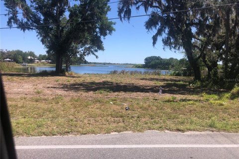 Land in Winter Haven, Florida № 1681960 - photo 7