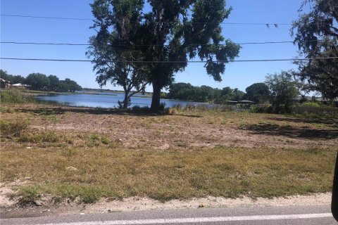 Land in Winter Haven, Florida № 1681960 - photo 9