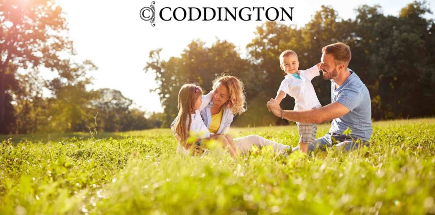 Coddington sobre plano en Bradenton, Florida № 598317