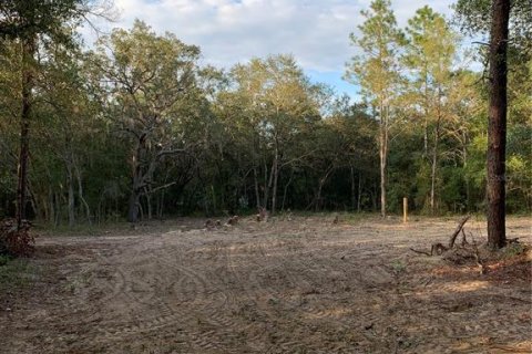 Terrain à vendre à Interlachen, Floride № 1446136 - photo 5