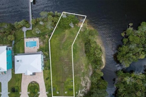 Terrain à Homosassa, Floride № 2138497