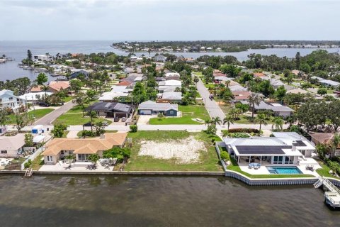 Terreno en venta en Saint Petersburg, Florida № 1796002 - foto 7