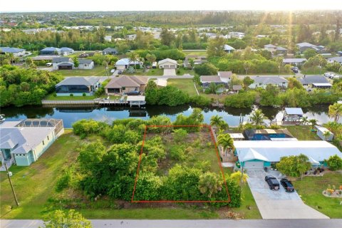 Terrain à Punta Gorda, Floride № 2107556