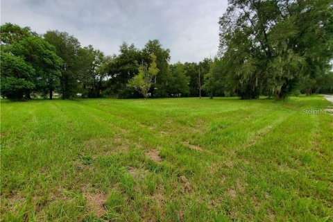 Land in Dade City, Florida № 1566724 - photo 2