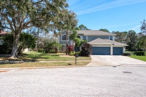 Casa en Palm Harbor, Florida 5 dormitorios, 336.68 m2 № 2137423