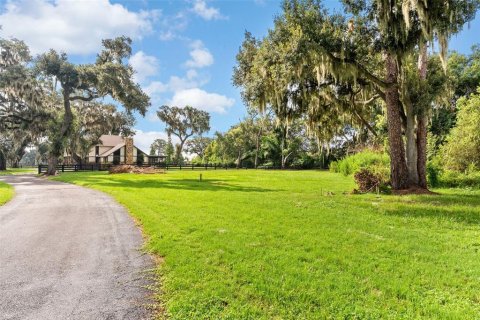 Villa ou maison à louer à Thonotosassa, Floride: 2 chambres, 270.16 m2 № 2167308 - photo 7