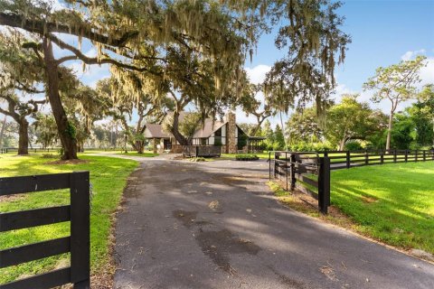 Villa ou maison à louer à Thonotosassa, Floride: 2 chambres, 270.16 m2 № 2167308 - photo 5