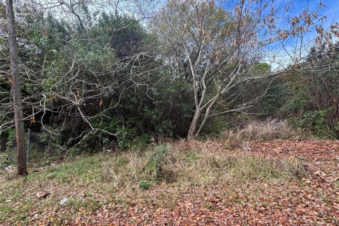 Commercial property in Vero Beach, Florida № 2245496 - photo 2