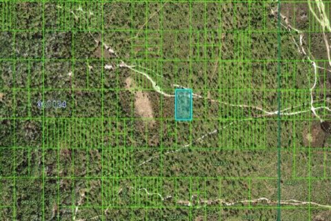 Terreno en venta en Frostproof, Florida № 2160604 - foto 3