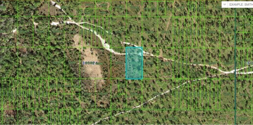 Terreno en Frostproof, Florida № 2160604