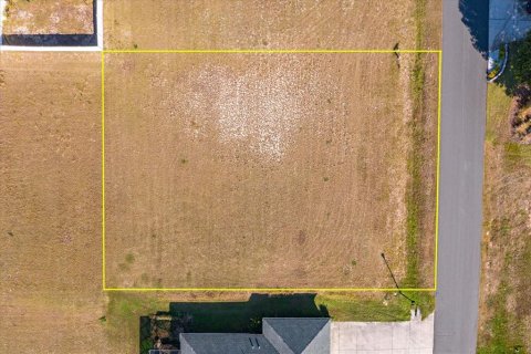 Land in Fruitland Park, Florida № 2213191 - photo 3
