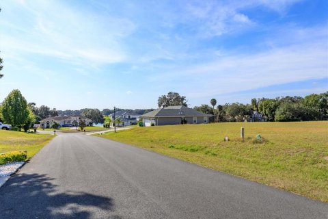 Land in Fruitland Park, Florida № 2213191