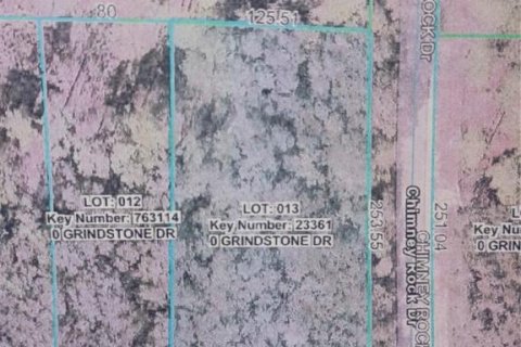 Land in Webster, Florida № 2163075