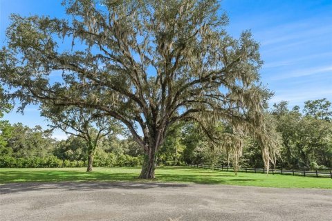 House in Morriston, Florida 3 bedrooms, 191.75 sq.m. № 2395974 - photo 25
