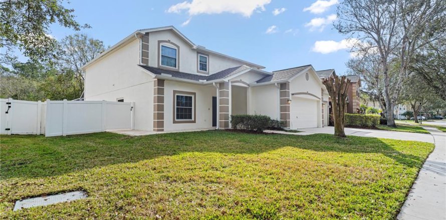 House in Fish Hawk, Florida 5 bedrooms, 302.49 sq.m. № 1552120